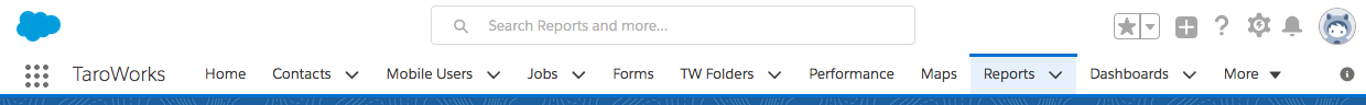 Report_Tab.png
